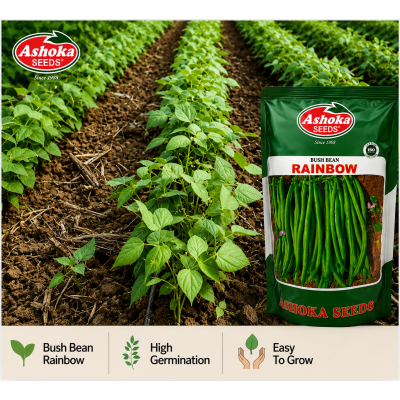 BEAN RAINBOW 500GM