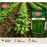BEAN RAINBOW 500GM