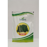 Madhubala Pole Bean ( 500gm )