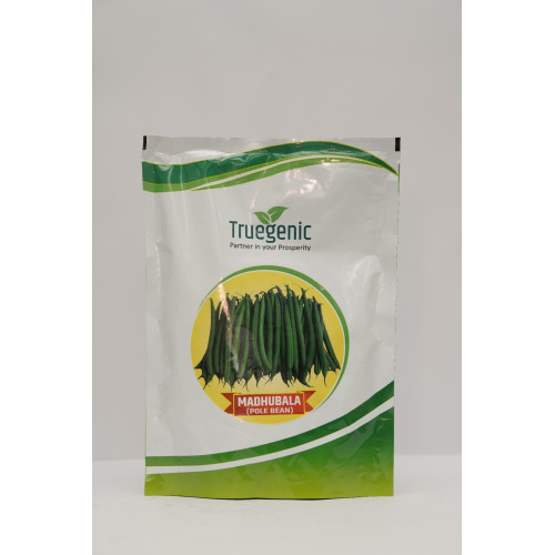 Madhubala Pole Bean ( 500gm )