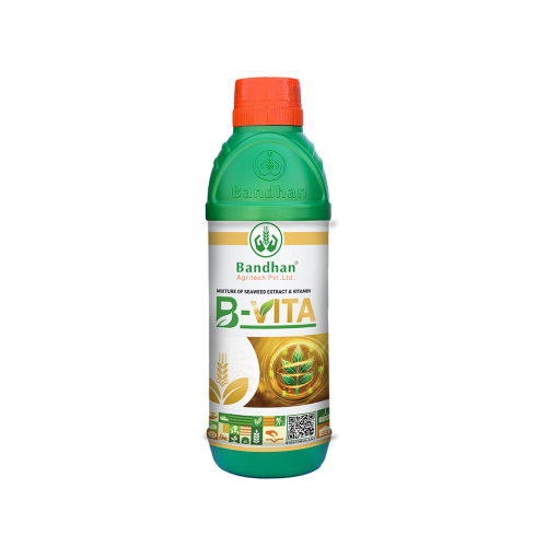 B-VITA _ 500ml (Tonic)