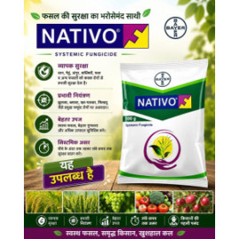 NATIVO