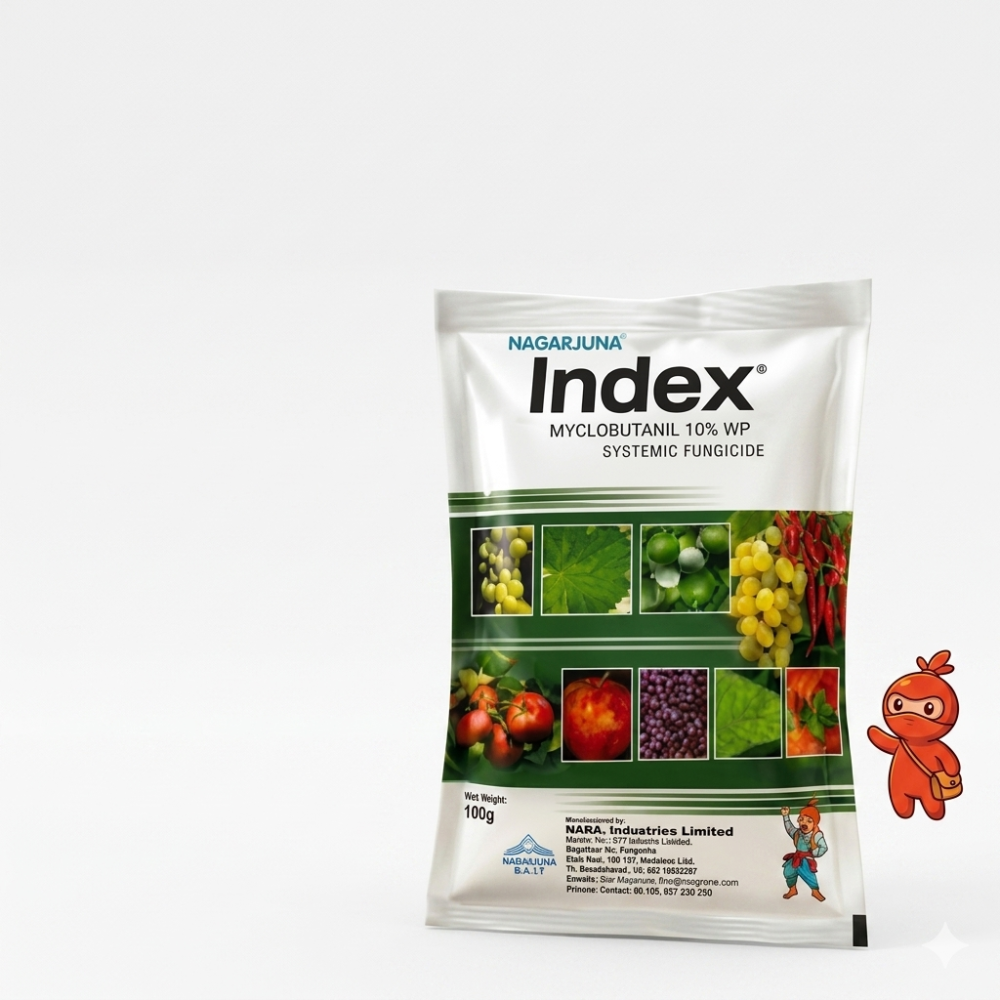 INDEX 100gm