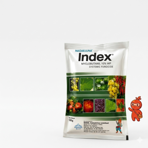 INDEX 100gm