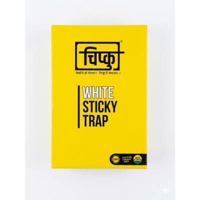 A4 white both side butter paper pack of 50 chipku