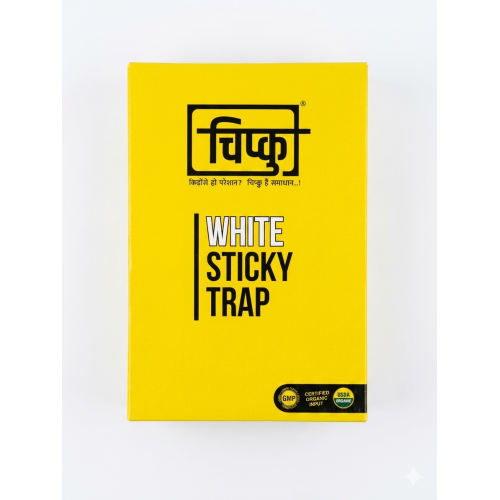 A4 white both side butter paper pack of 50 chipku