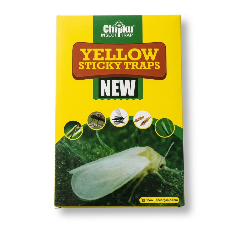 A4 yellow both side sticky trap pack of 12 chipku