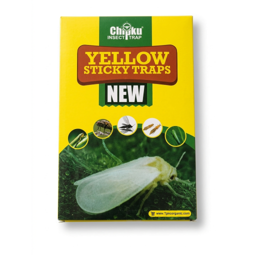 A4 yellow both side sticky trap pack of 12 chipku