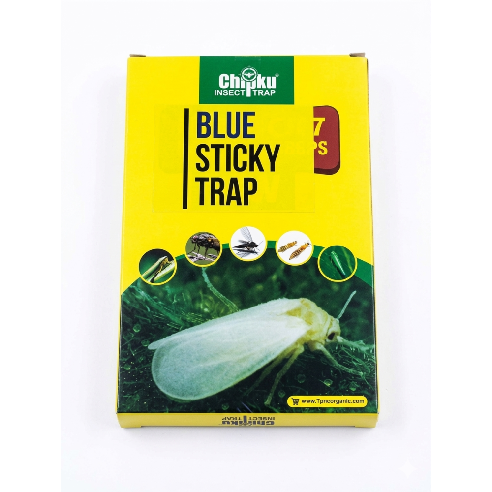 A4 blue both side sticky trap pack of 12 chipku
