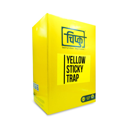 A4 yellow both side butter paper pack of 50 chipku
