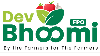 Dev Bhoomi Dev Bhoomi